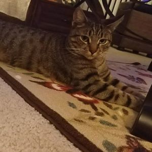 Meet your Posher, Lena